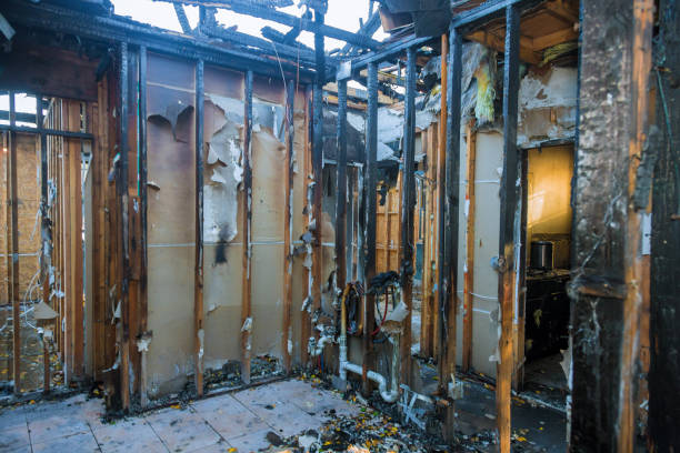 Professional Odor Removal technician working in Philadelphia, MS